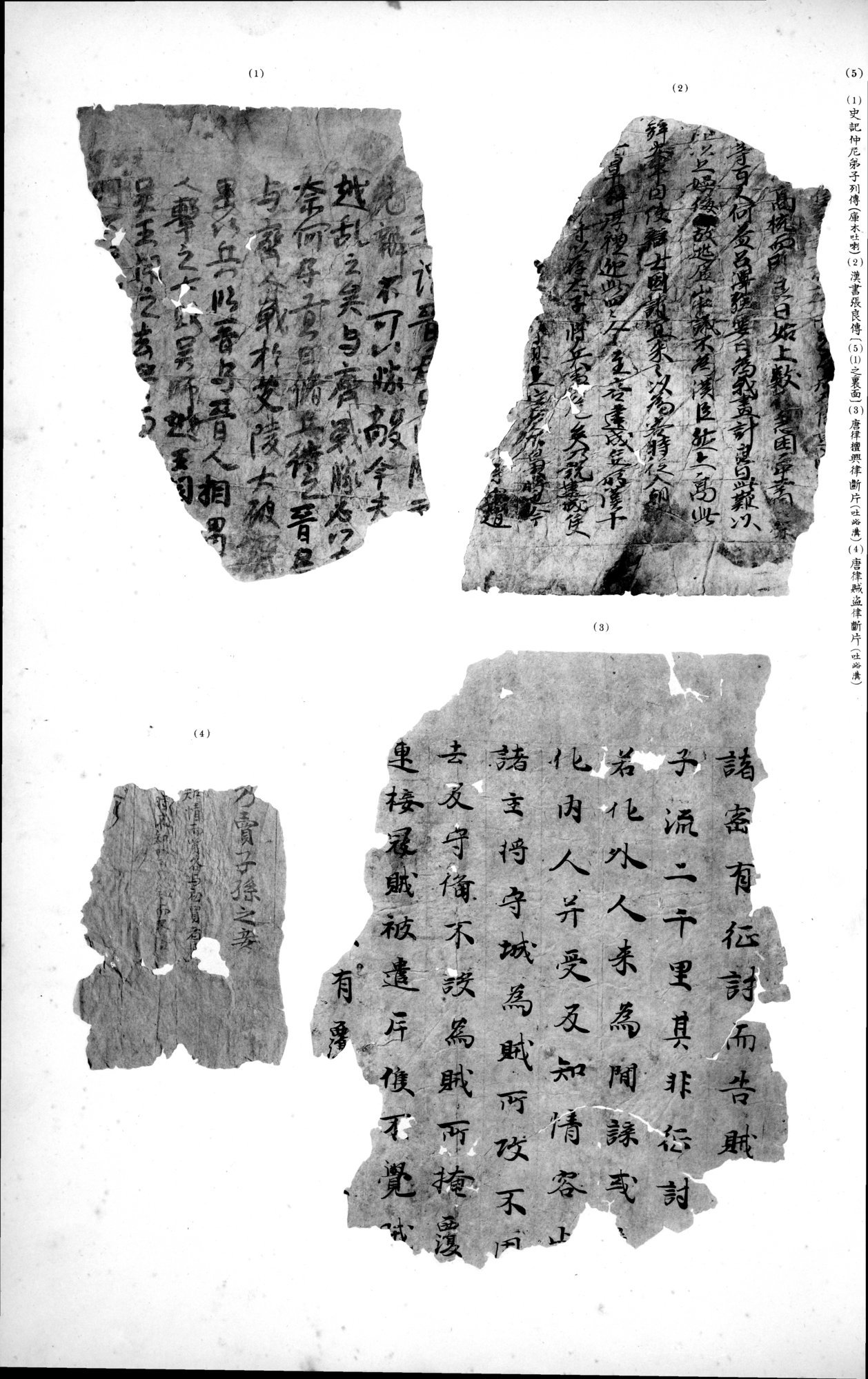 西域考古図譜 : vol.2 / 239 ページ（白黒高解像度画像）