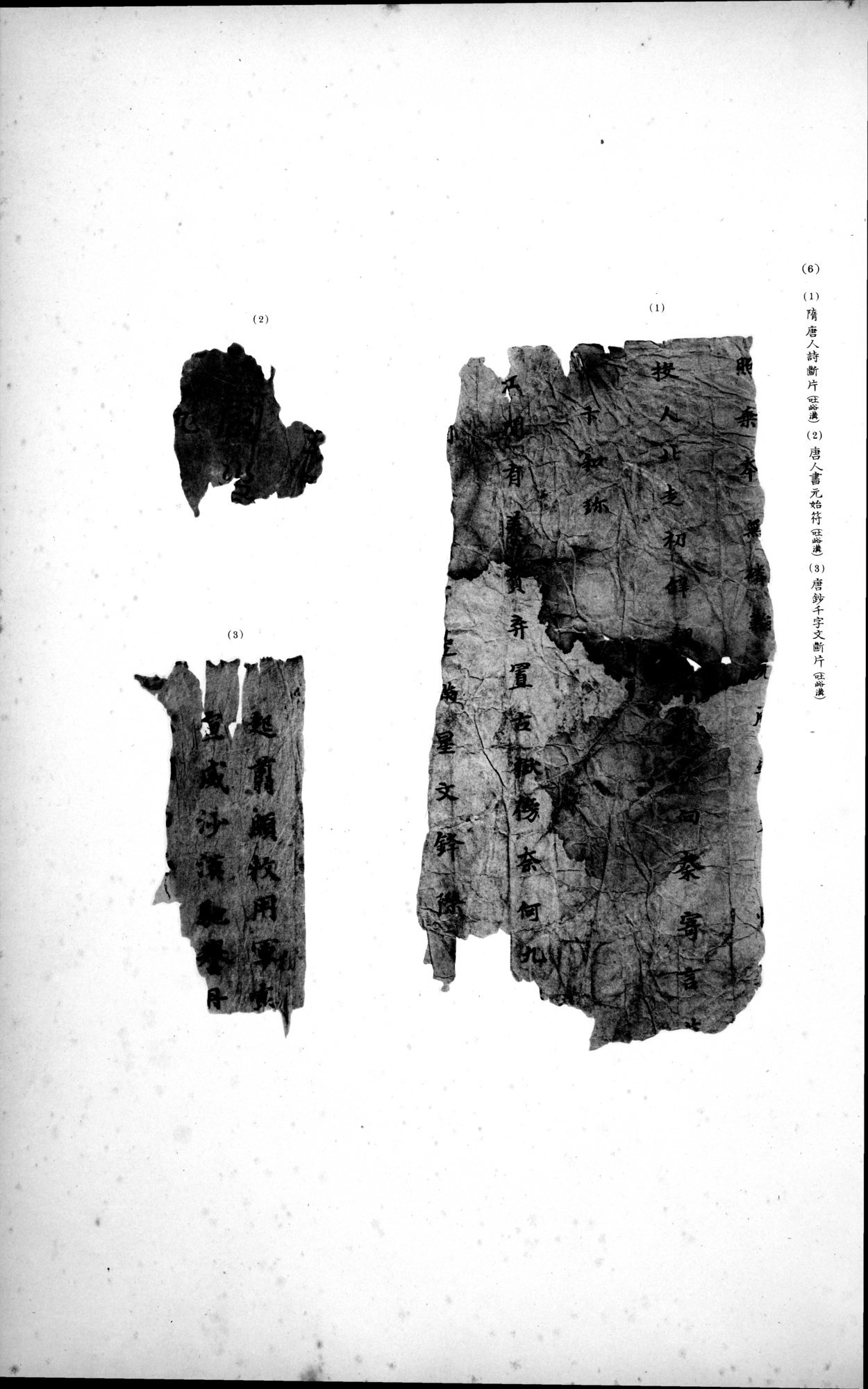 西域考古図譜 : vol.2 / 241 ページ（白黒高解像度画像）