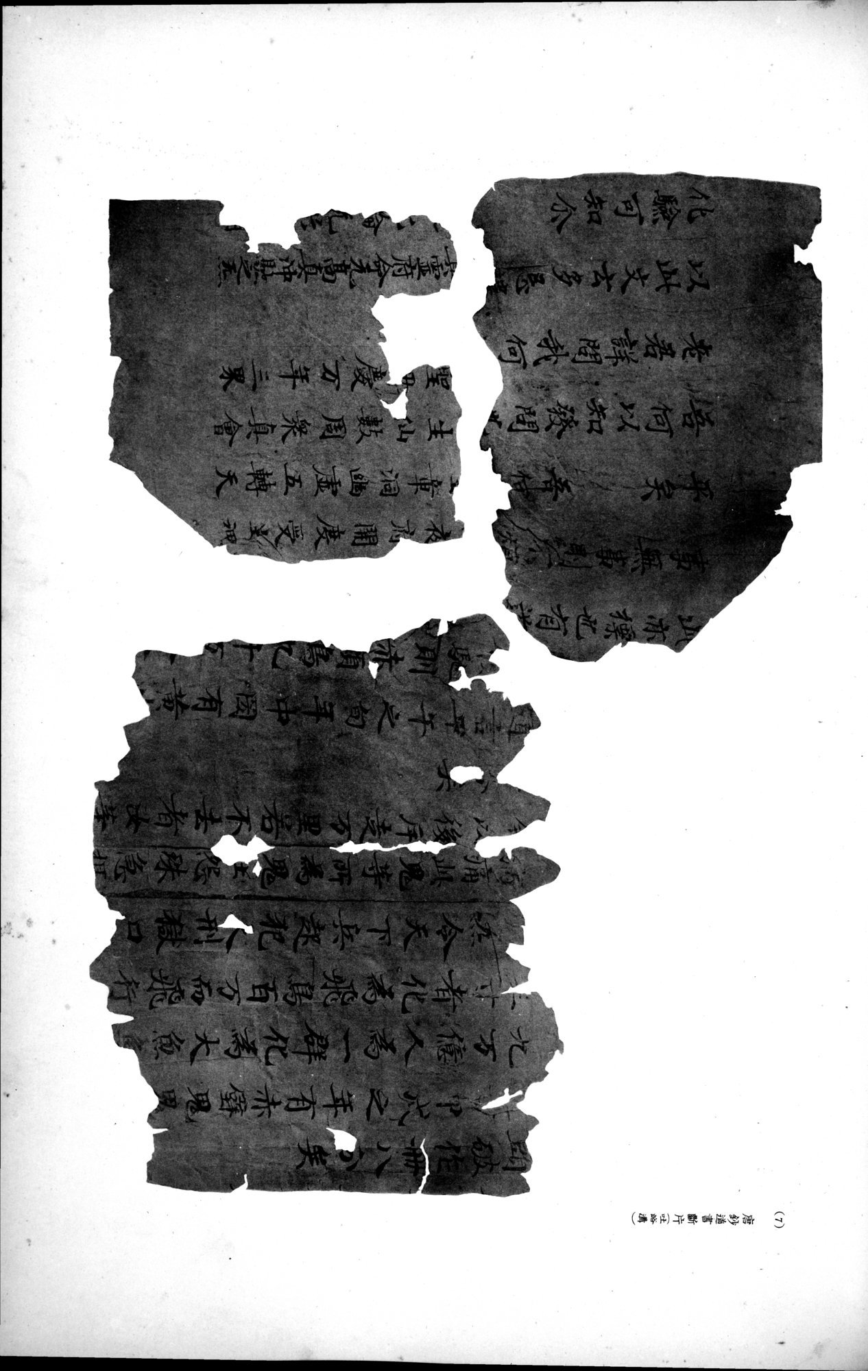 西域考古図譜 : vol.2 / 243 ページ（白黒高解像度画像）