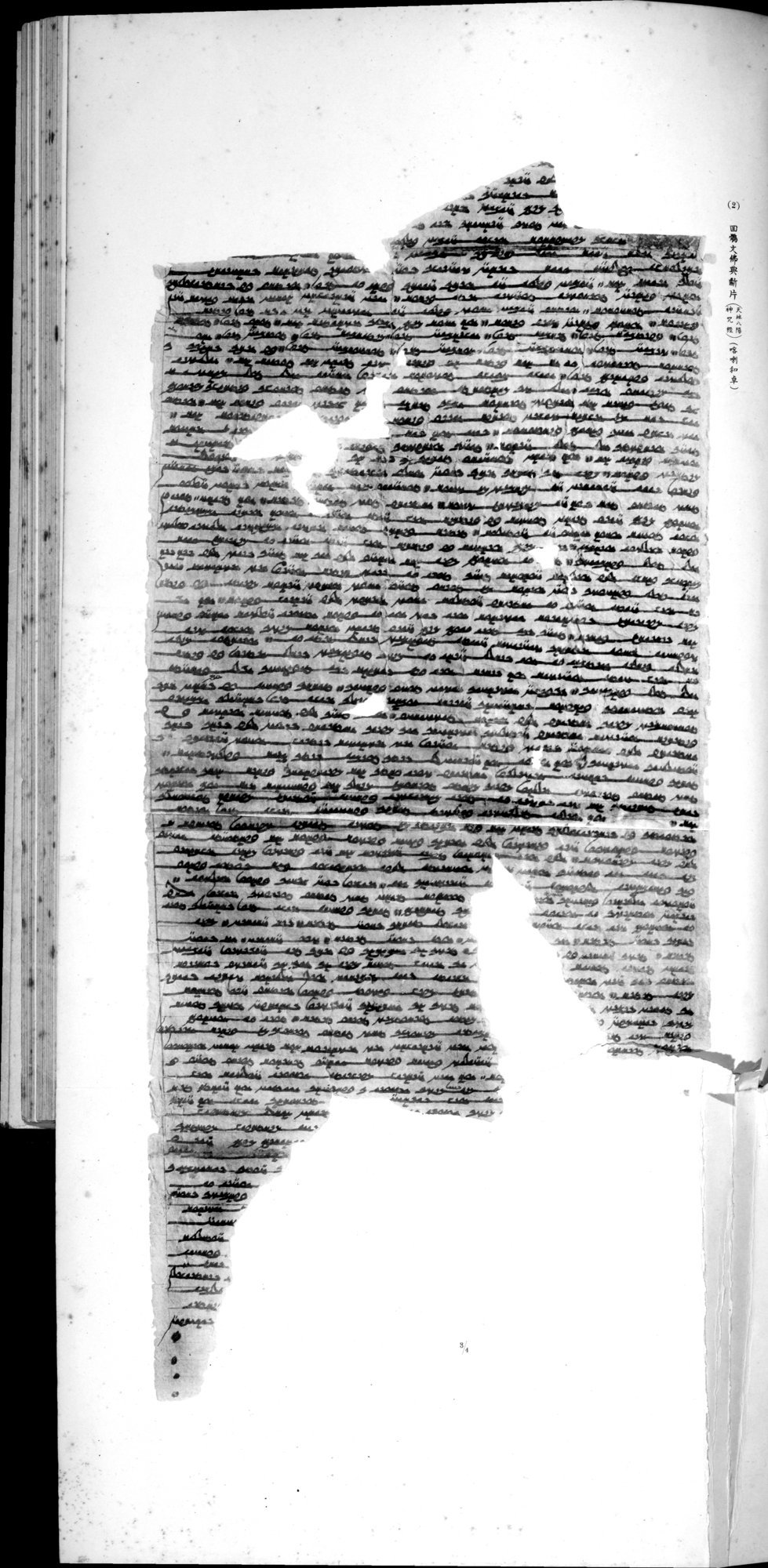 西域考古図譜 : vol.2 / 257 ページ（白黒高解像度画像）