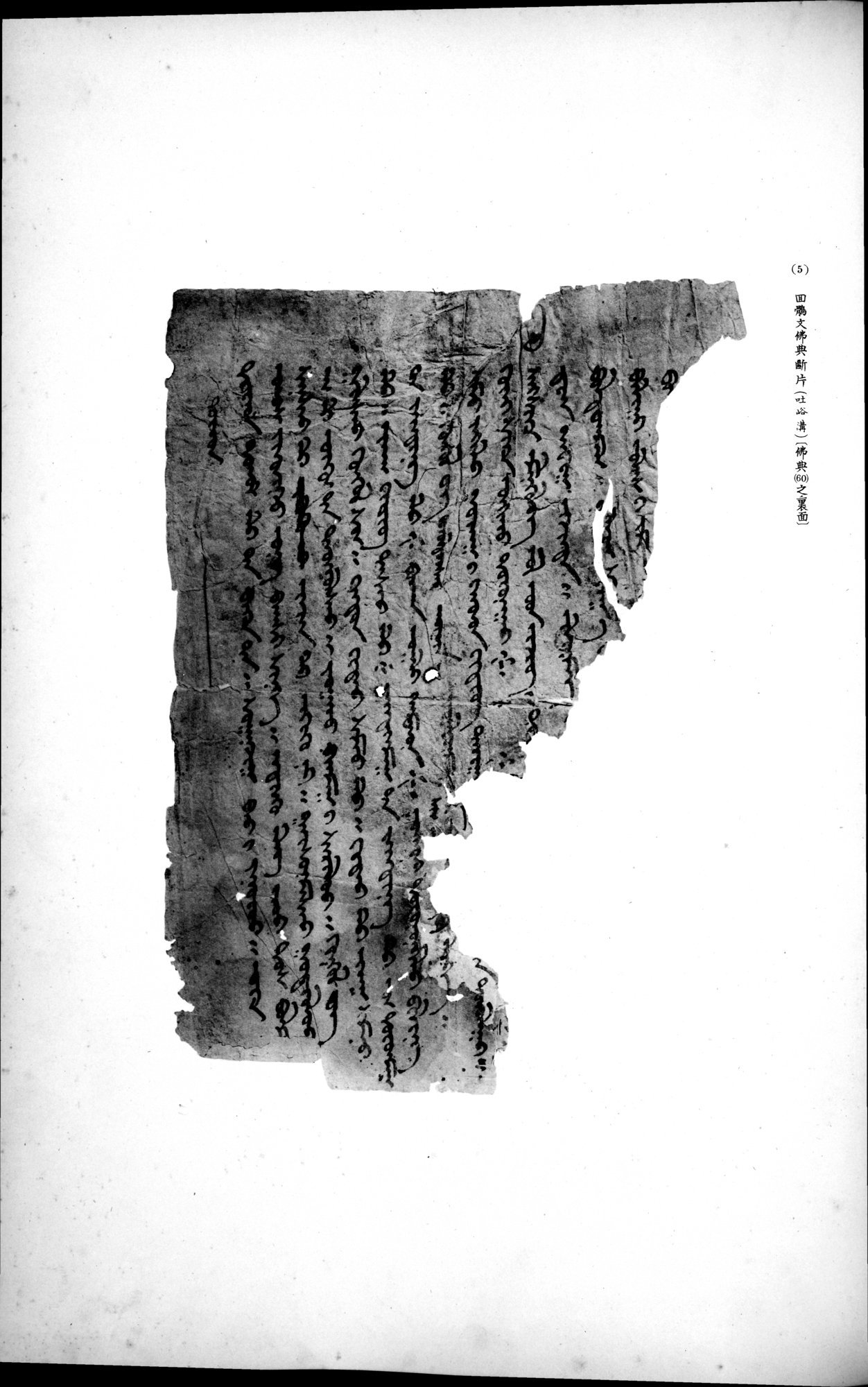 西域考古図譜 : vol.2 / Page 263 (Grayscale High Resolution Image)