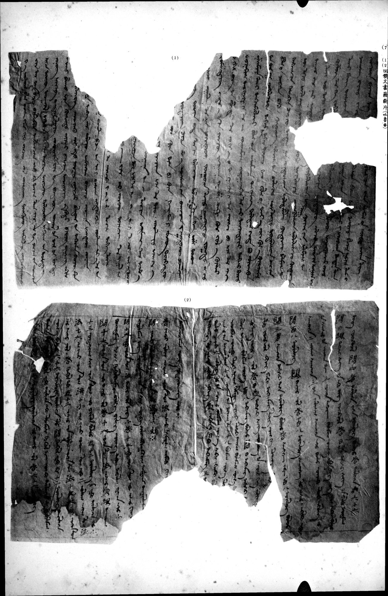 西域考古図譜 : vol.2 / 267 ページ（白黒高解像度画像）