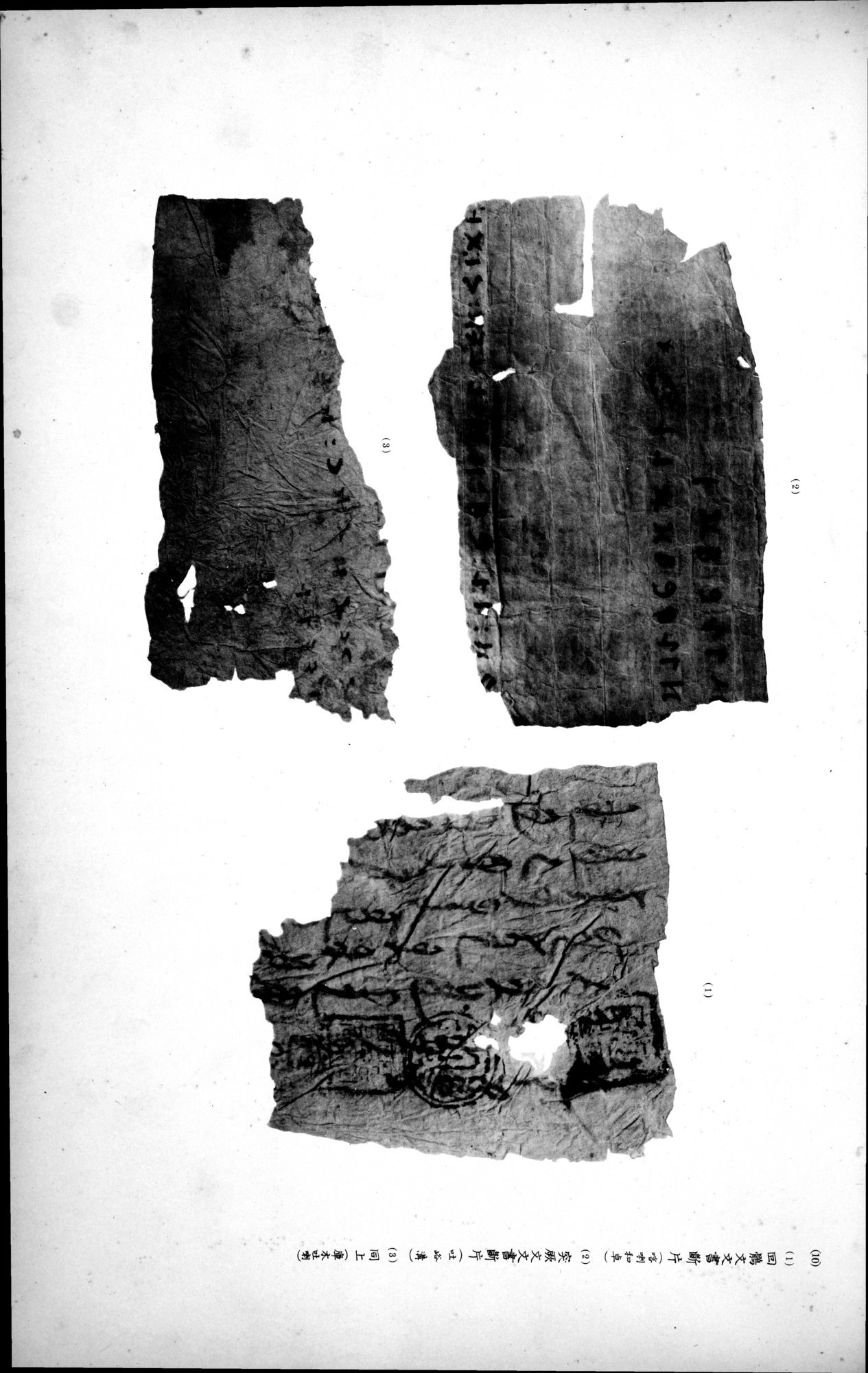西域考古図譜 : vol.2 / 273 ページ（白黒高解像度画像）