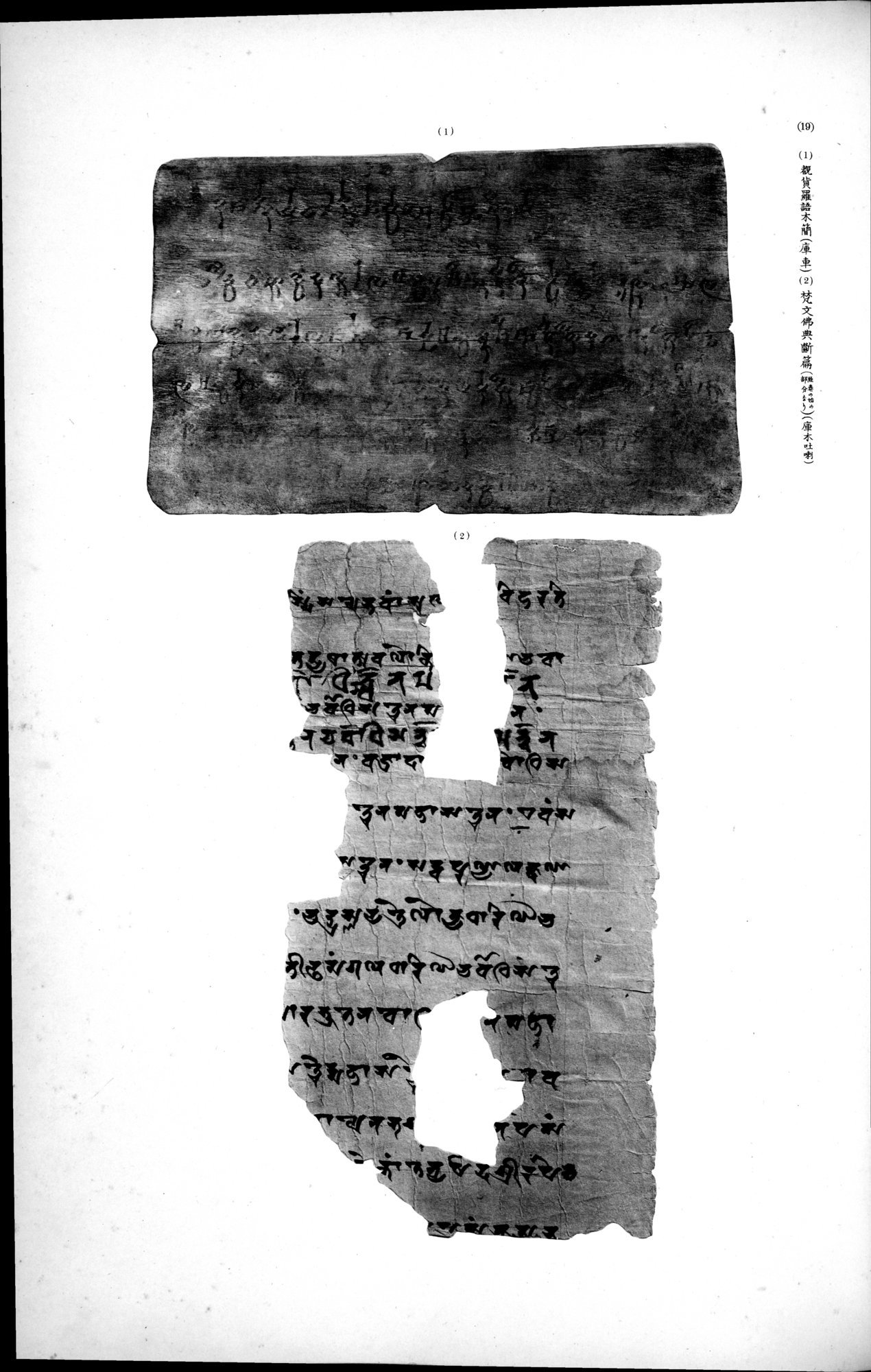 西域考古図譜 : vol.2 / 291 ページ（白黒高解像度画像）