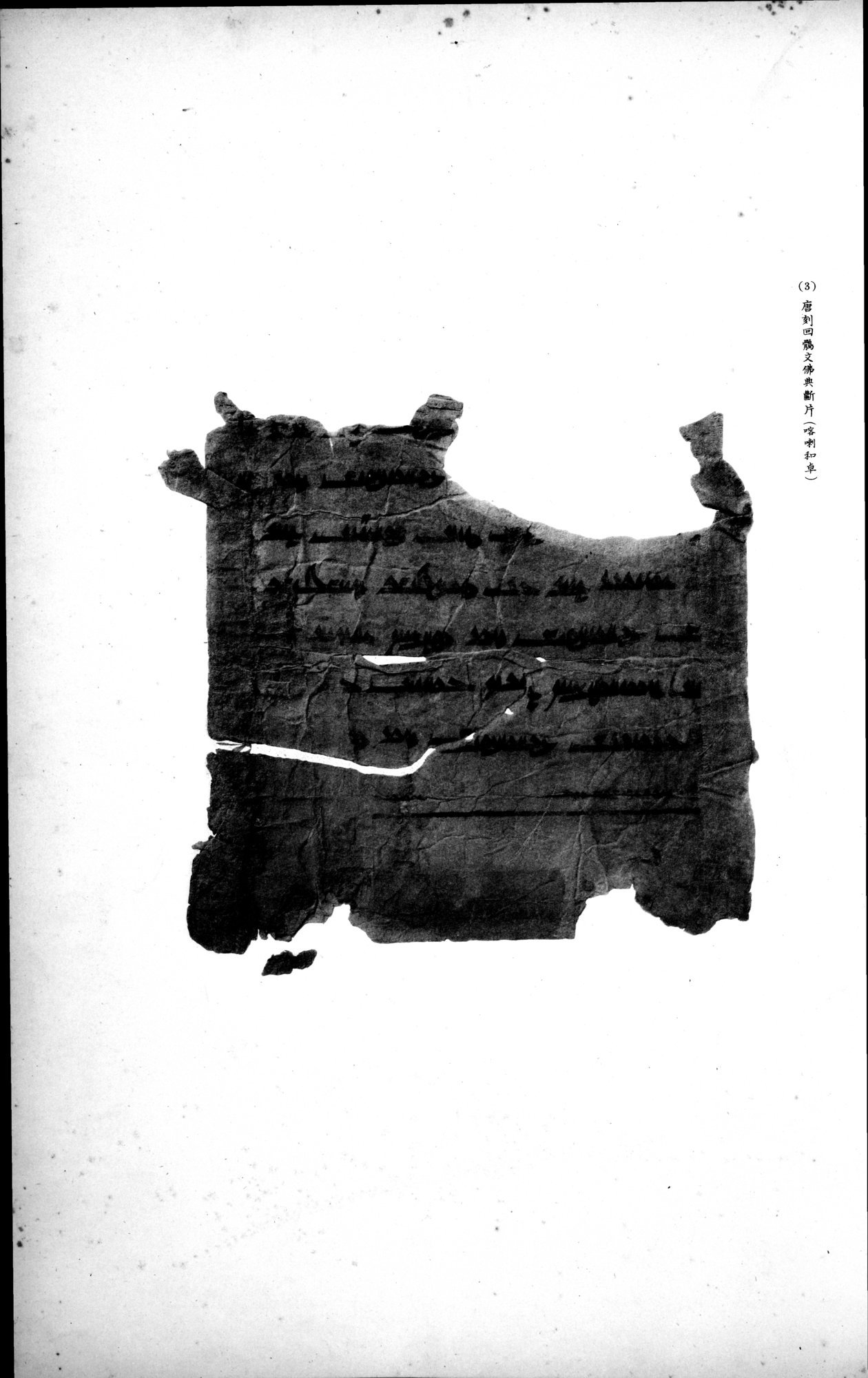 西域考古図譜 : vol.2 / 309 ページ（白黒高解像度画像）