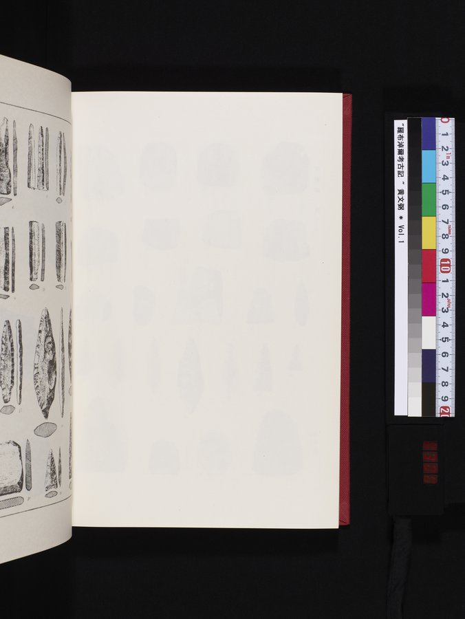 羅布淖爾考古記 : vol.1 / 300 ページ（カラー画像）