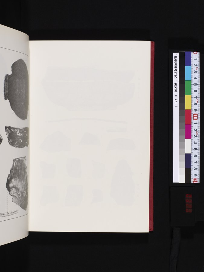 羅布淖爾考古記 : vol.1 / 320 ページ（カラー画像）