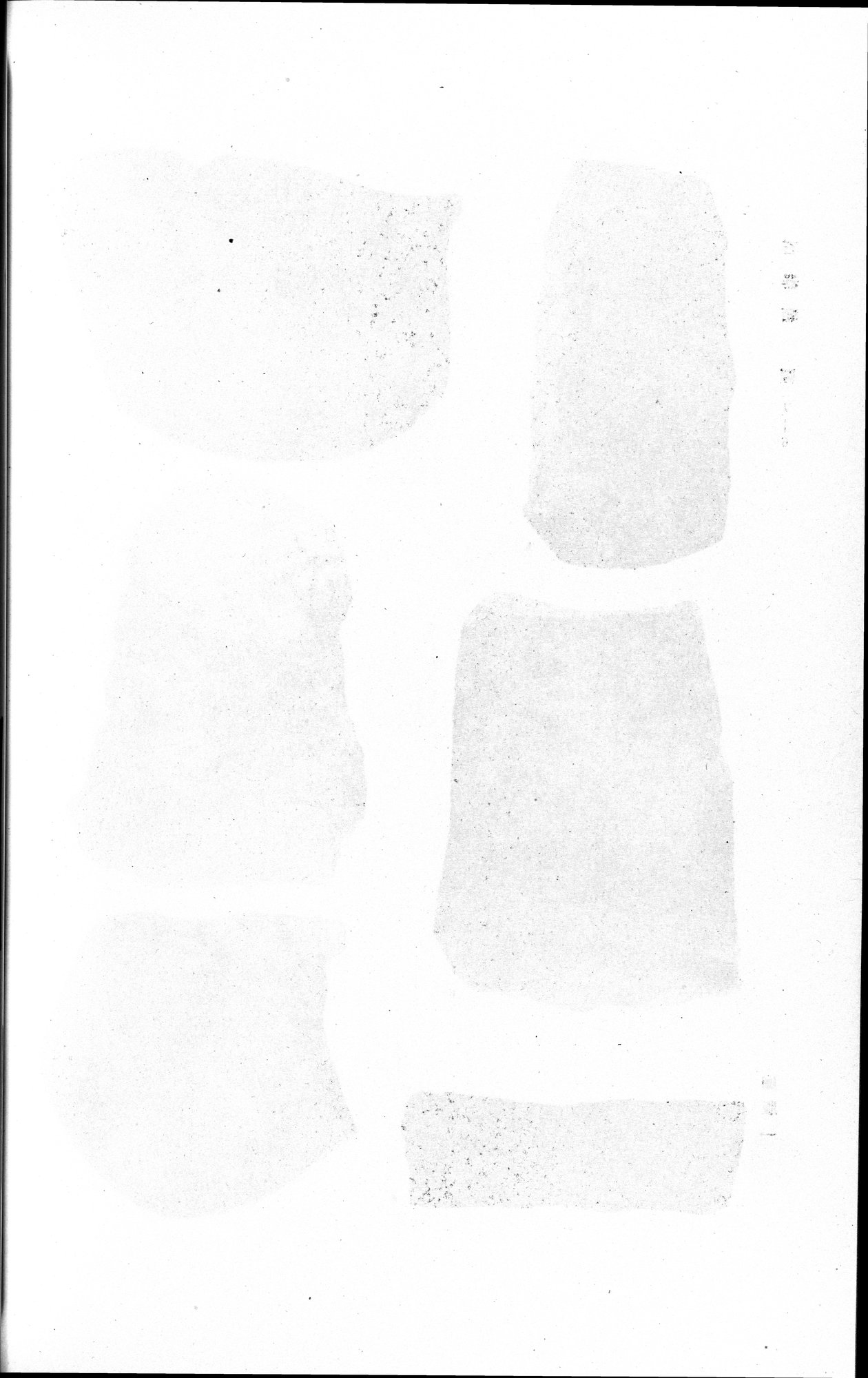 羅布淖爾考古記 : vol.1 / 294 ページ（白黒高解像度画像）