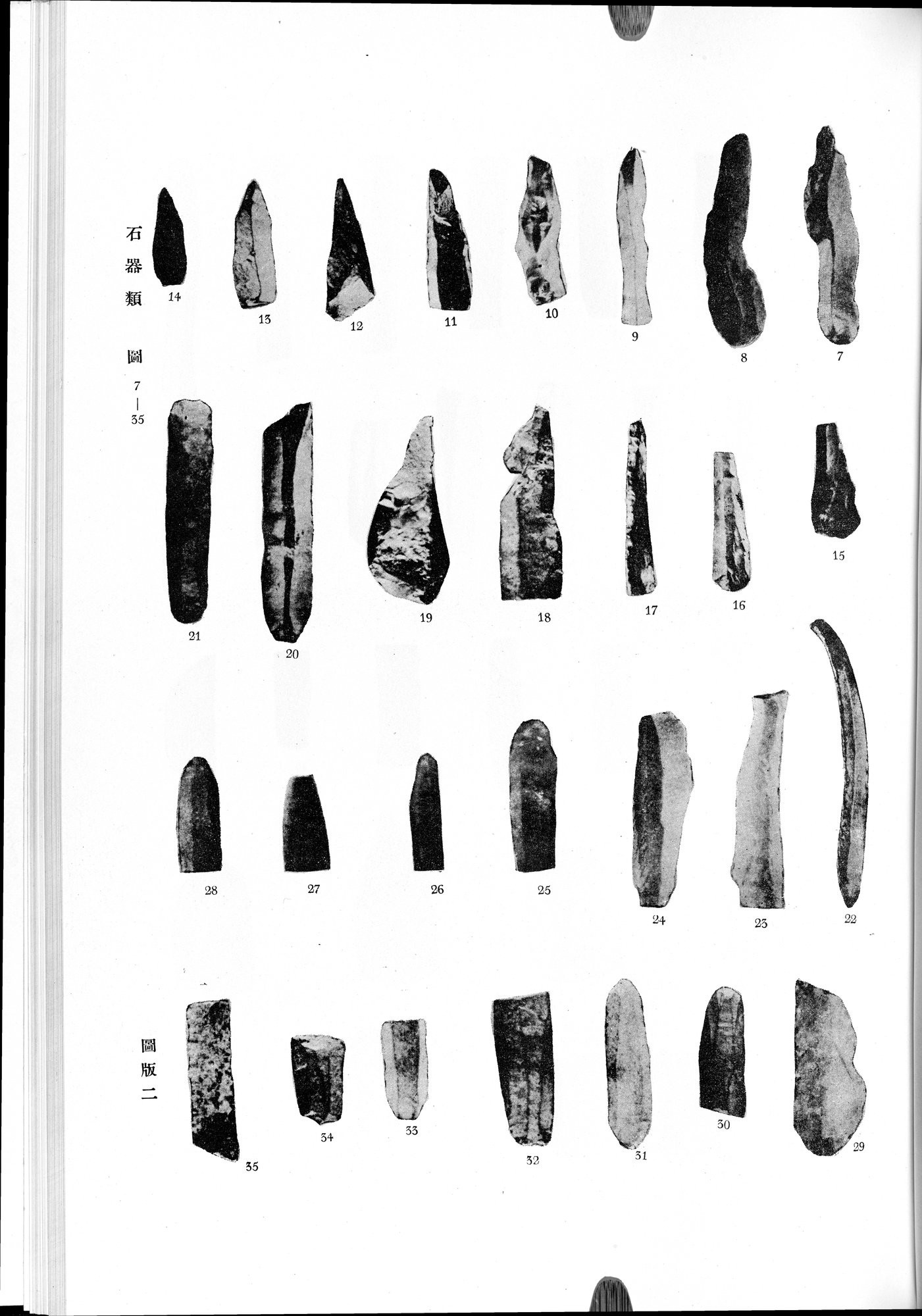 羅布淖爾考古記 : vol.1 / 295 ページ（白黒高解像度画像）
