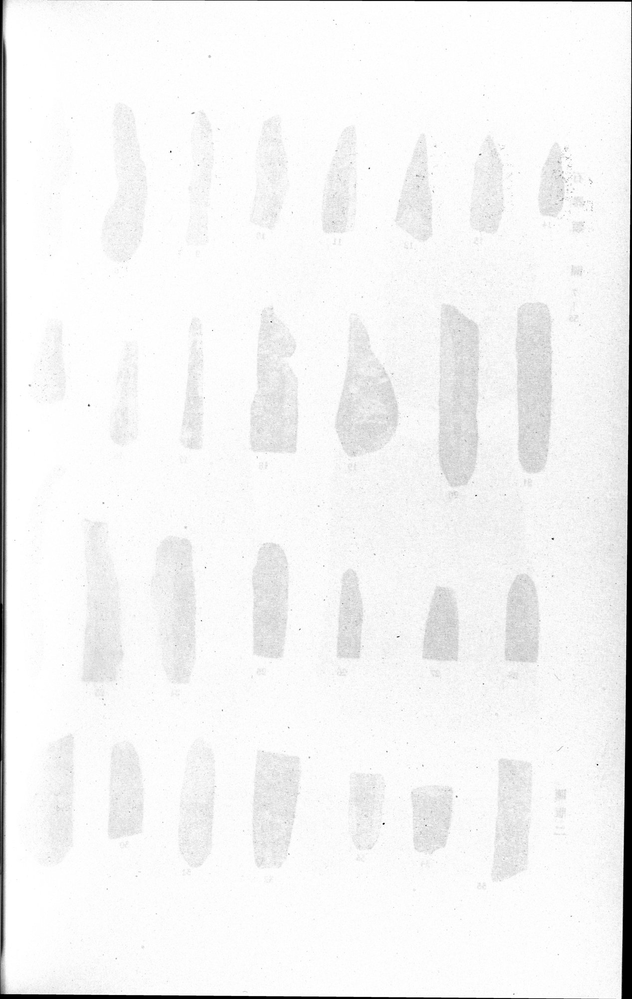 羅布淖爾考古記 : vol.1 / 296 ページ（白黒高解像度画像）