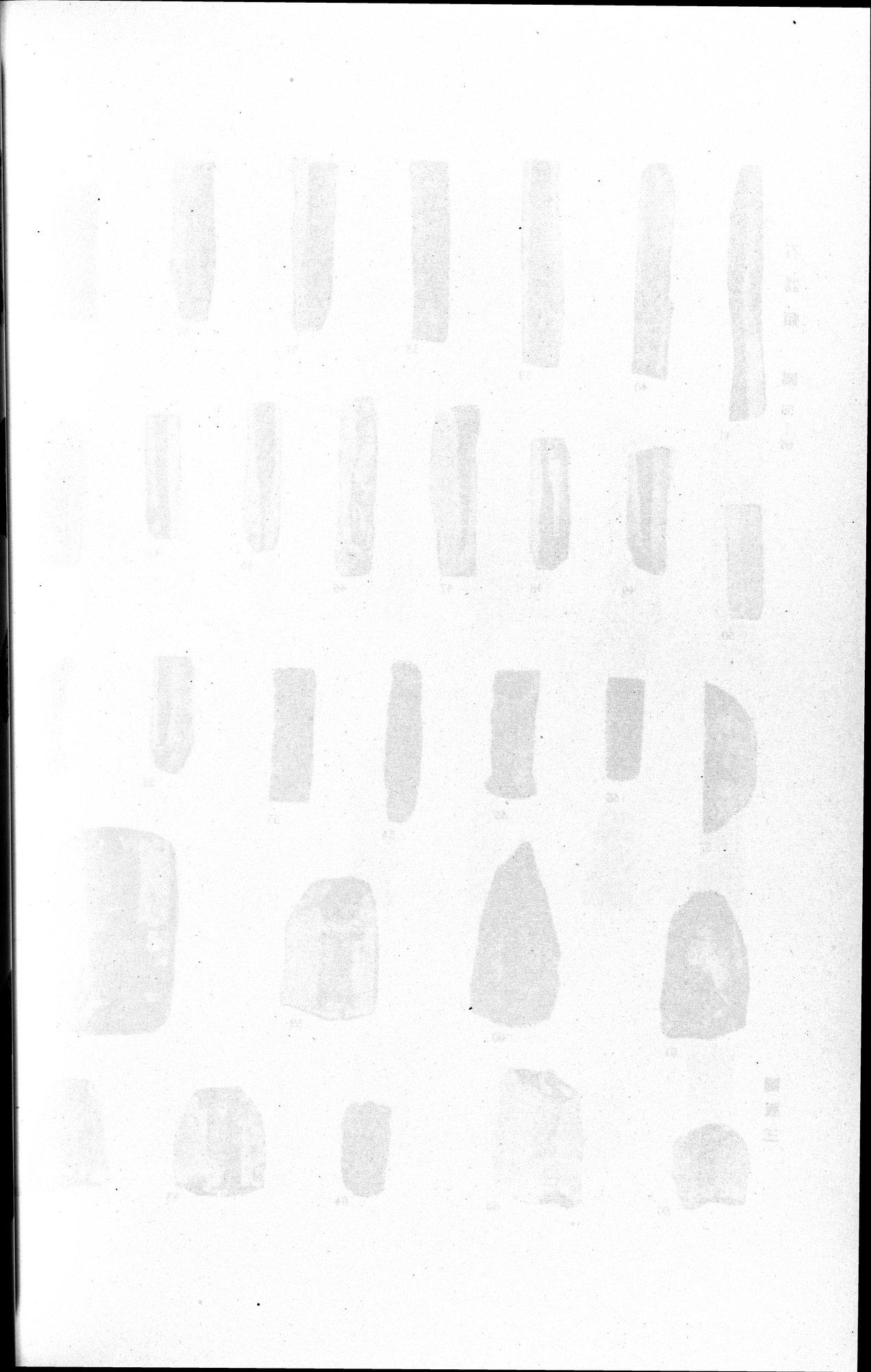 羅布淖爾考古記 : vol.1 / 298 ページ（白黒高解像度画像）