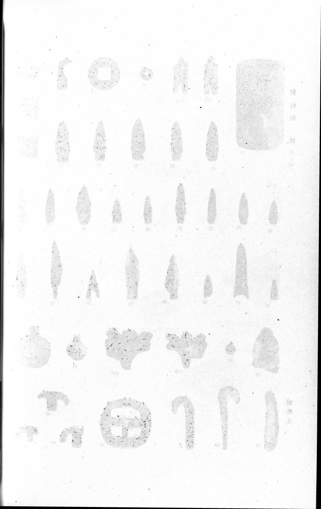 羅布淖爾考古記 : vol.1 / 310 ページ（白黒高解像度画像）