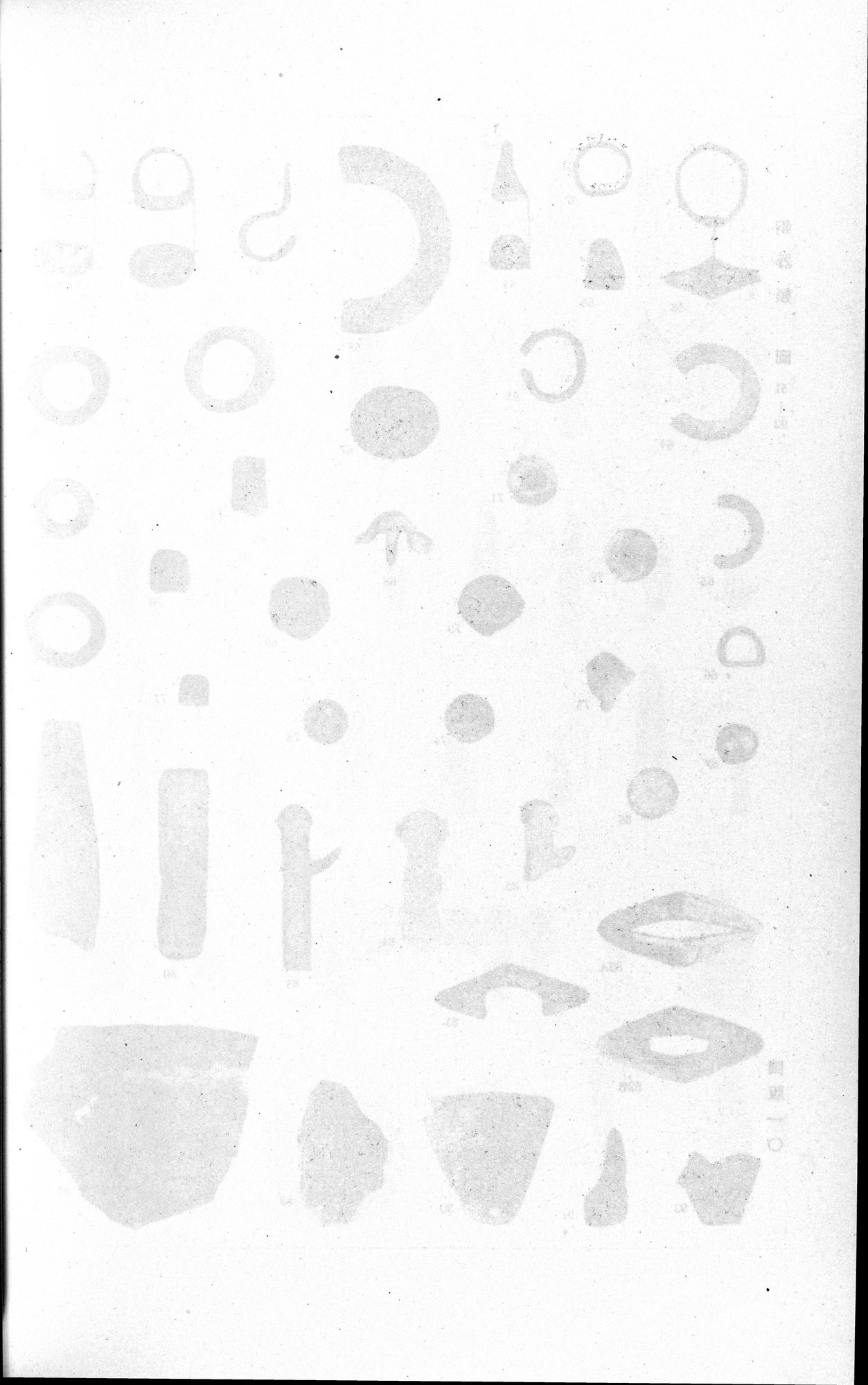 羅布淖爾考古記 : vol.1 / Page 312 (Grayscale High Resolution Image)