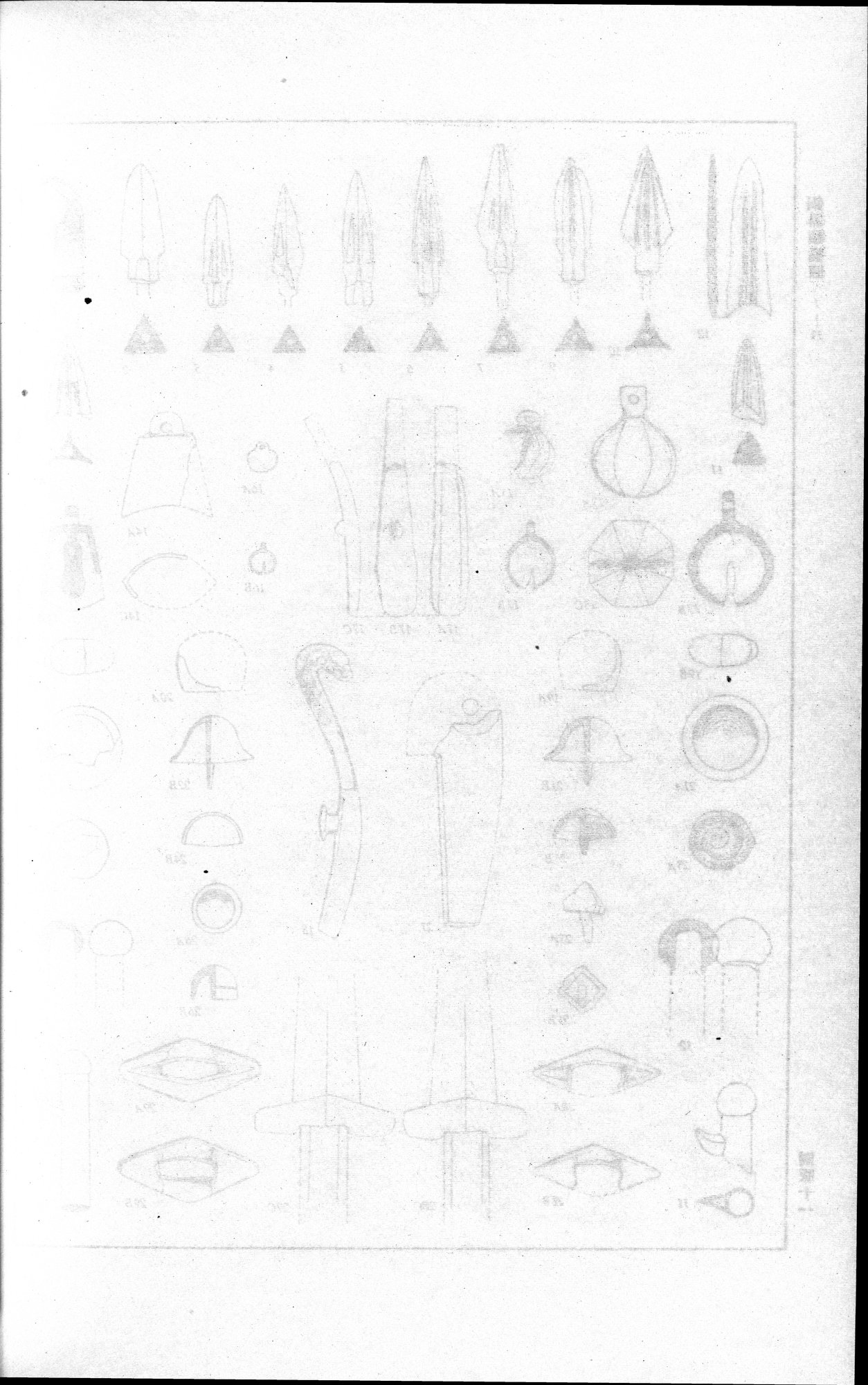 羅布淖爾考古記 : vol.1 / 314 ページ（白黒高解像度画像）