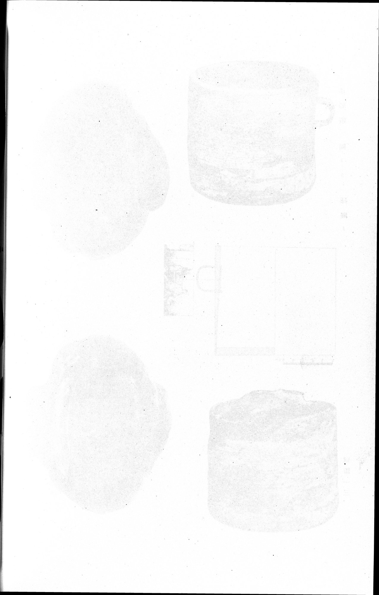 羅布淖爾考古記 : vol.1 / Page 318 (Grayscale High Resolution Image)