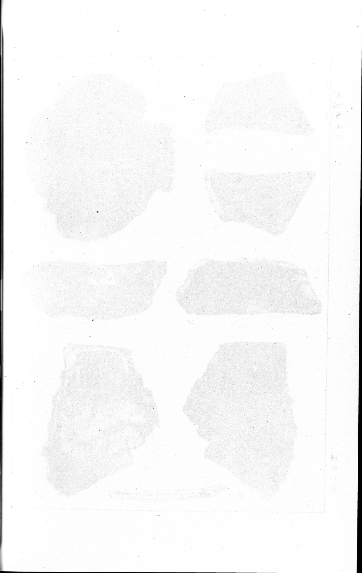 羅布淖爾考古記 : vol.1 / Page 322 (Grayscale High Resolution Image)