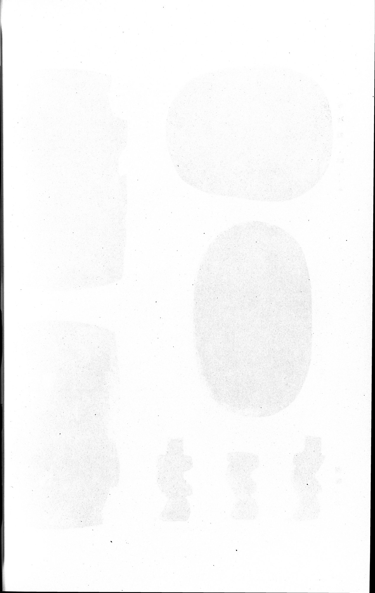 羅布淖爾考古記 : vol.1 / 324 ページ（白黒高解像度画像）