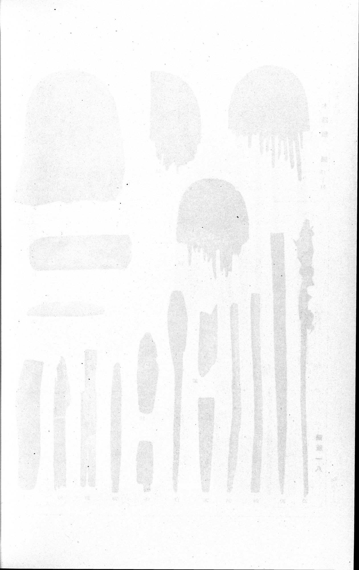 羅布淖爾考古記 : vol.1 / 328 ページ（白黒高解像度画像）