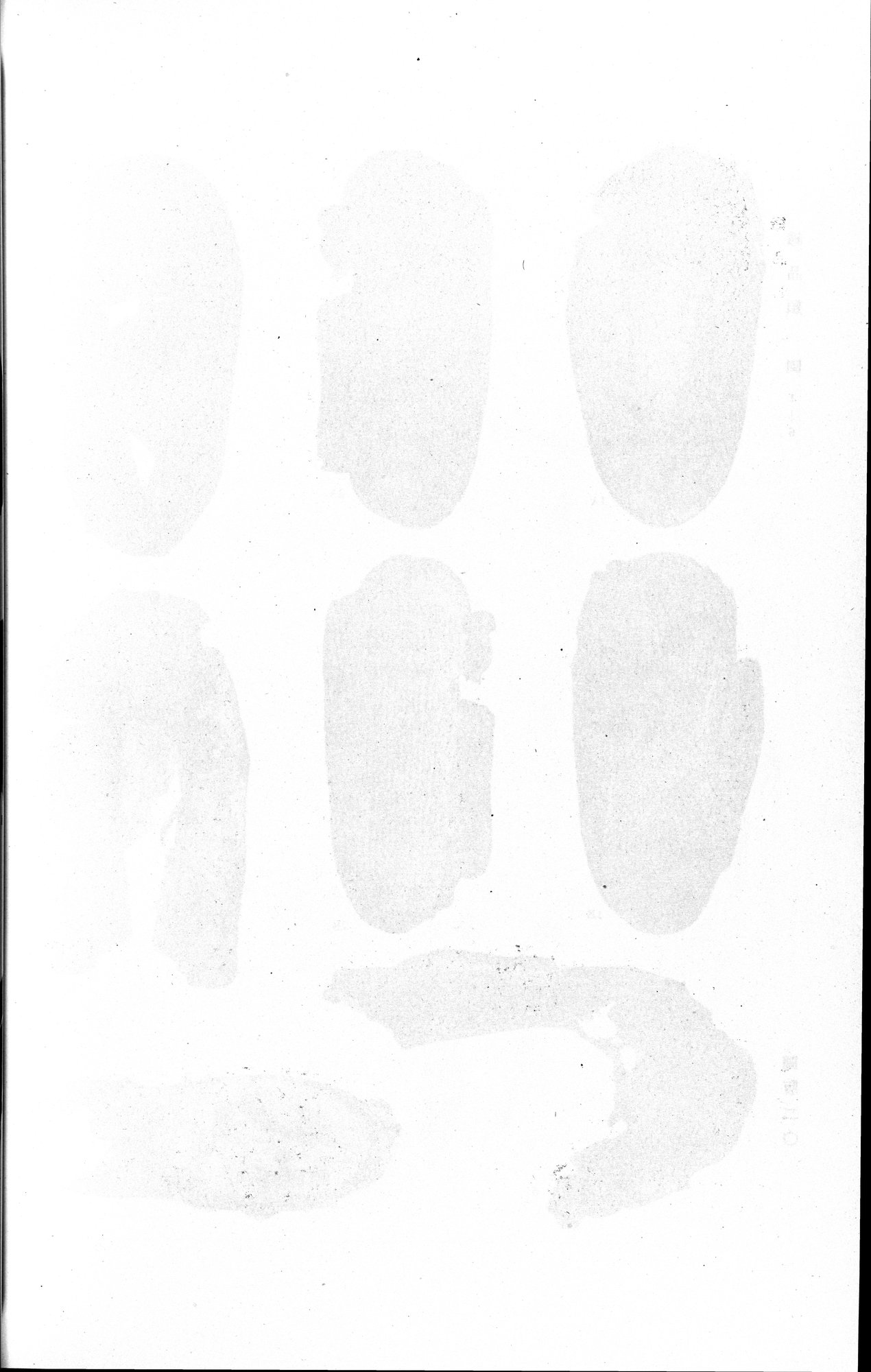 羅布淖爾考古記 : vol.1 / 332 ページ（白黒高解像度画像）