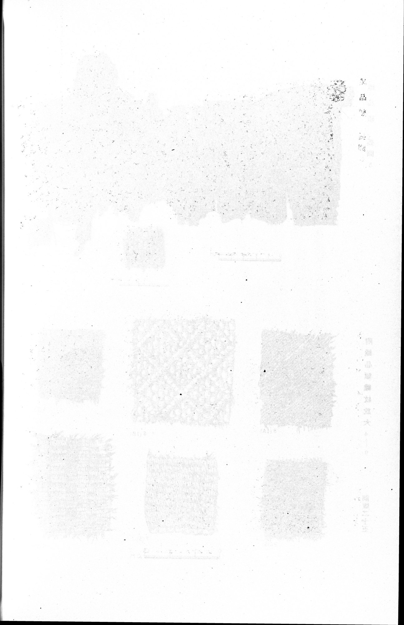 羅布淖爾考古記 : vol.1 / 342 ページ（白黒高解像度画像）