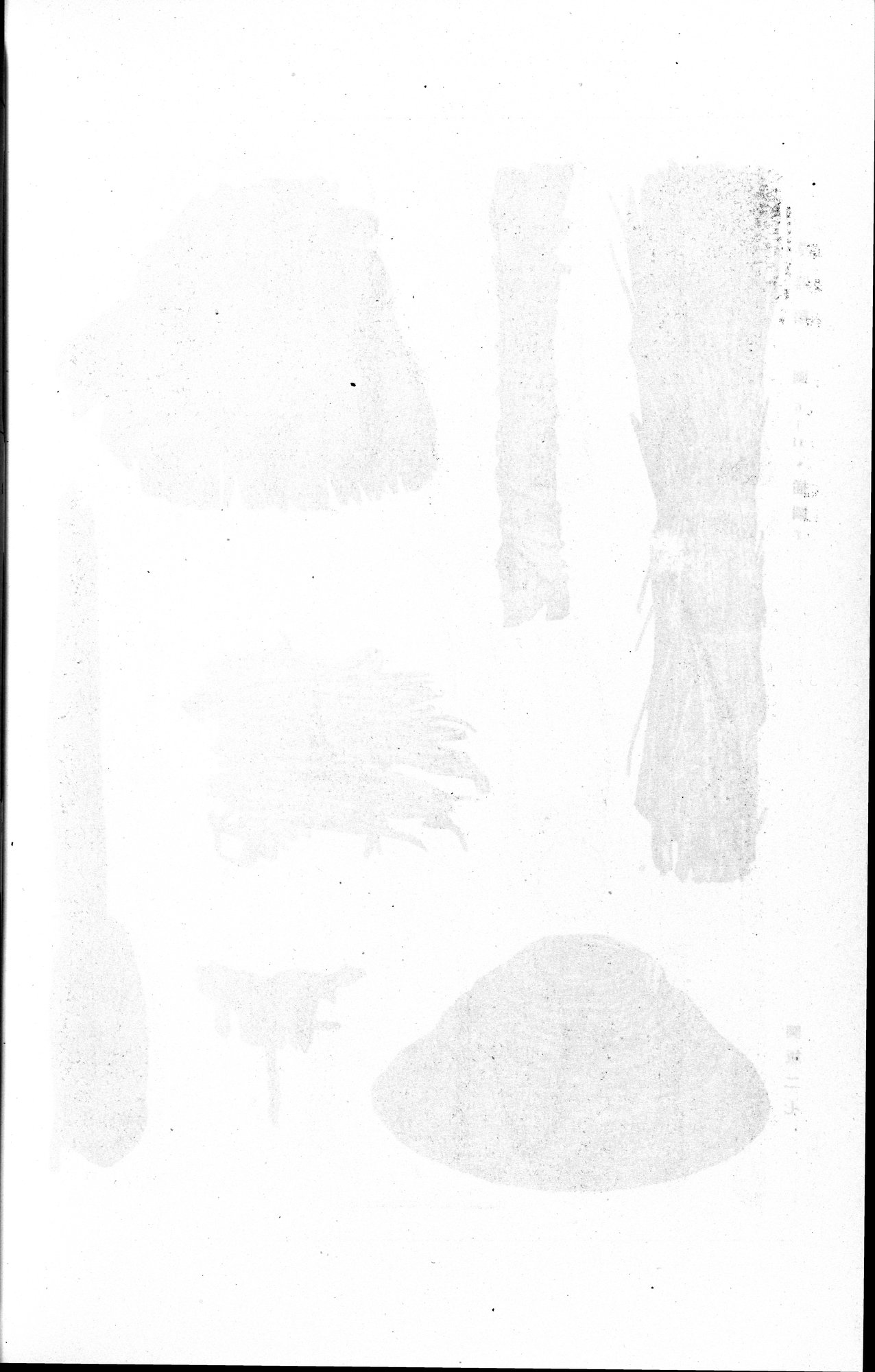 羅布淖爾考古記 : vol.1 / 346 ページ（白黒高解像度画像）