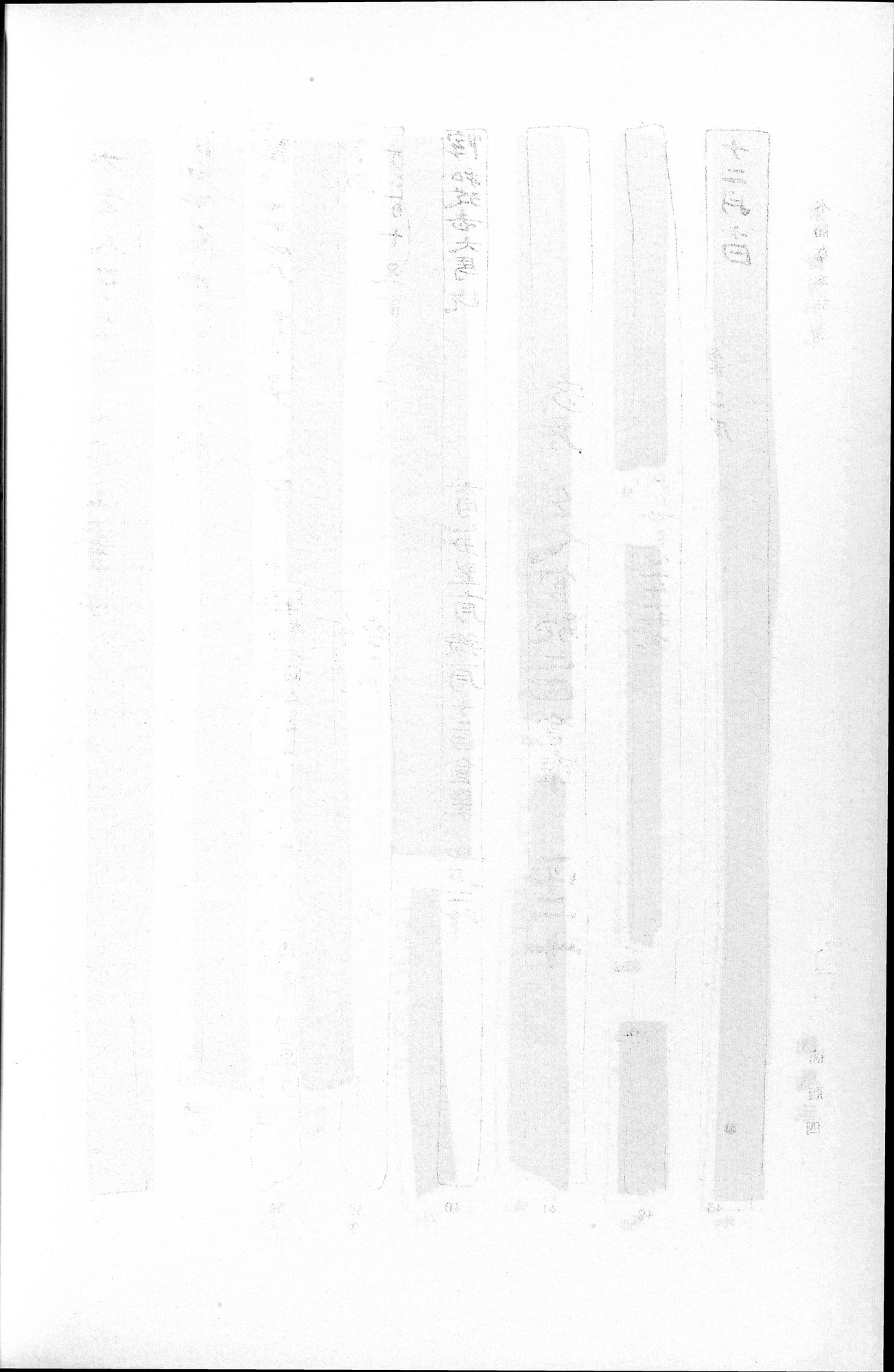 羅布淖爾考古記 : vol.1 / 366 ページ（白黒高解像度画像）
