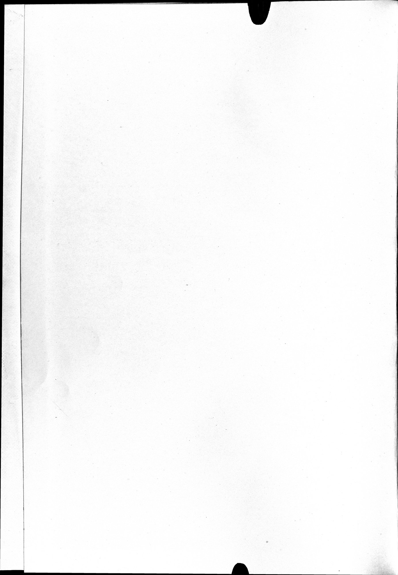 羅布淖爾考古記 : vol.1 / 393 ページ（白黒高解像度画像）