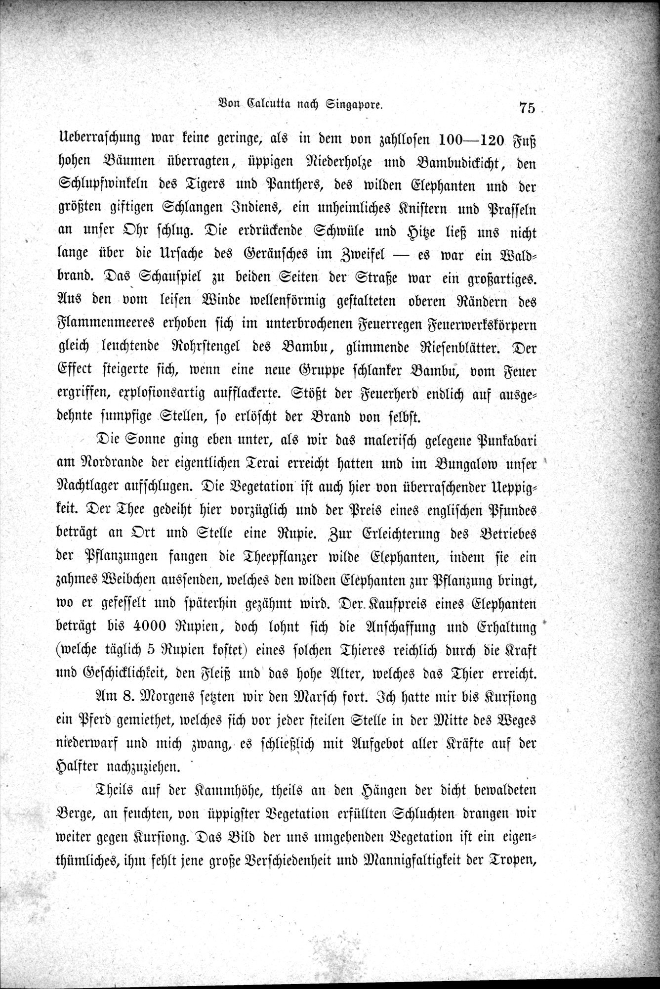 Im fernen Osten : vol.1 / 99 ページ（白黒高解像度画像）