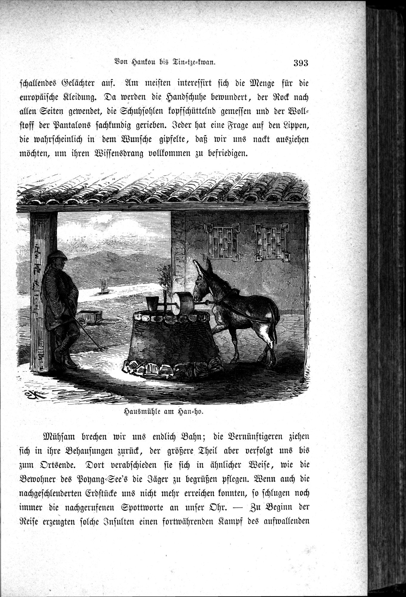 Im fernen Osten : vol.1 / Page 417 (Grayscale High Resolution Image)