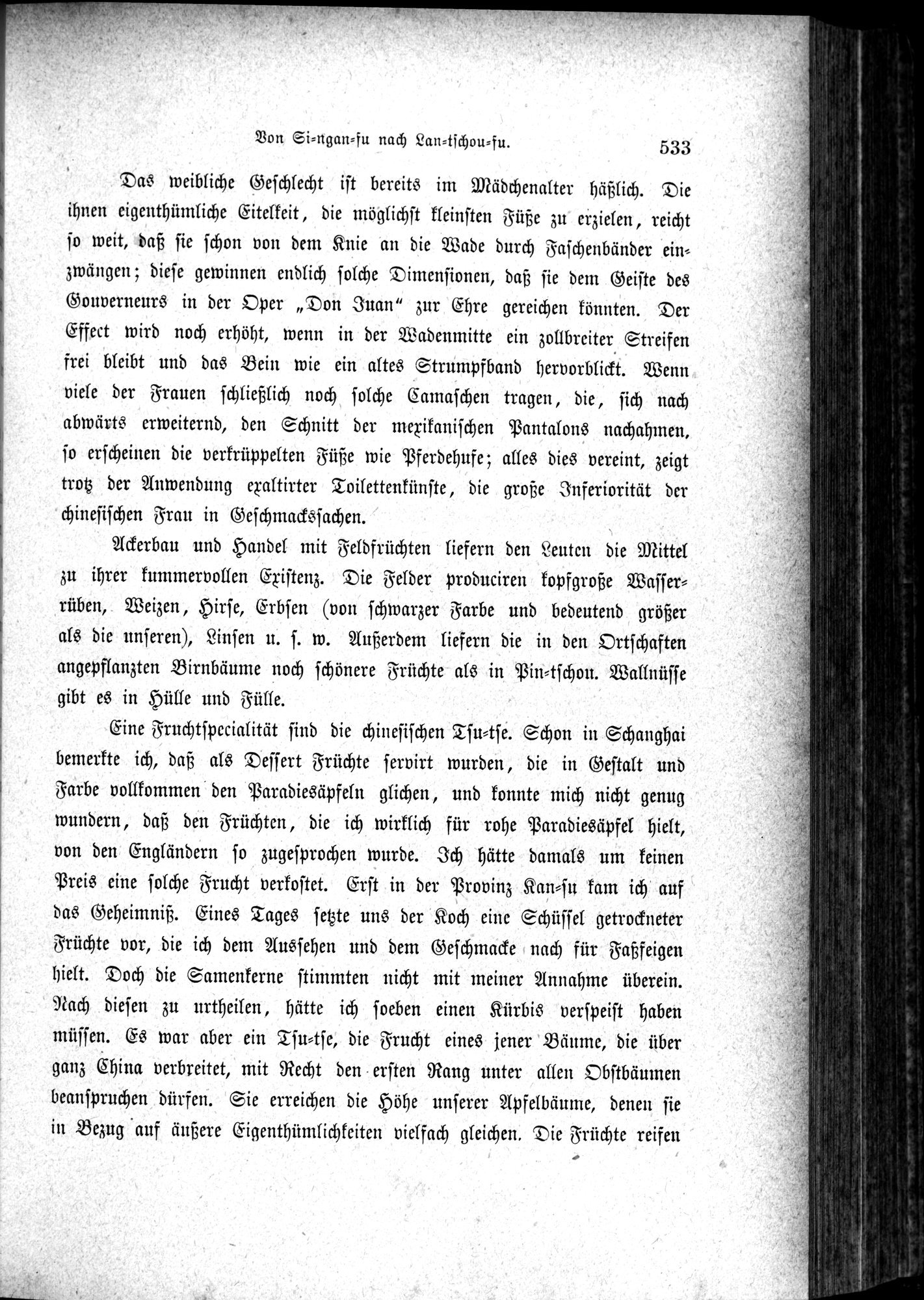 Im fernen Osten : vol.1 / Page 557 (Grayscale High Resolution Image)