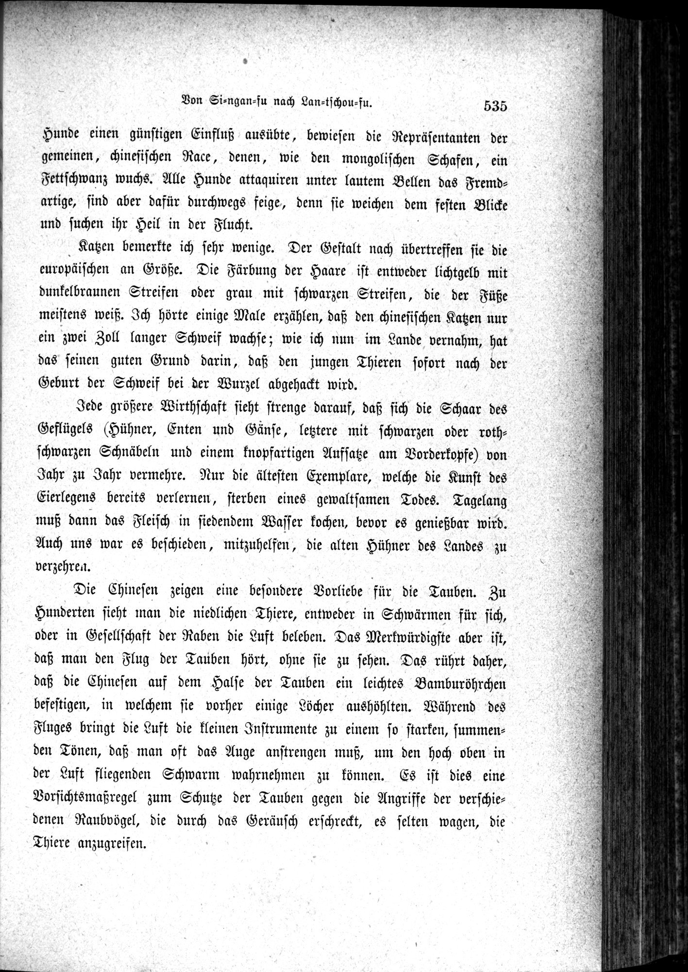Im fernen Osten : vol.1 / Page 559 (Grayscale High Resolution Image)