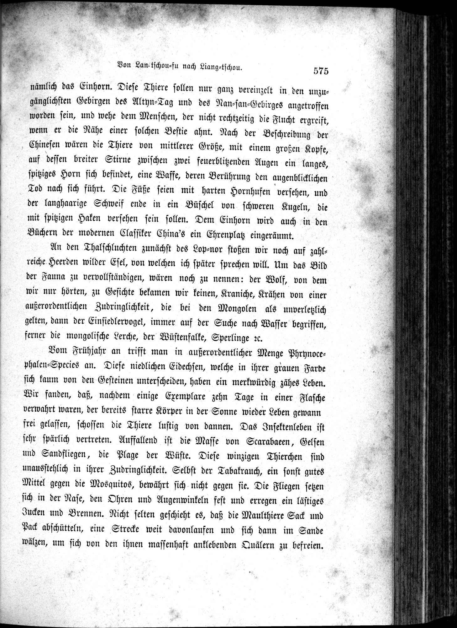 Im fernen Osten : vol.1 / Page 599 (Grayscale High Resolution Image)