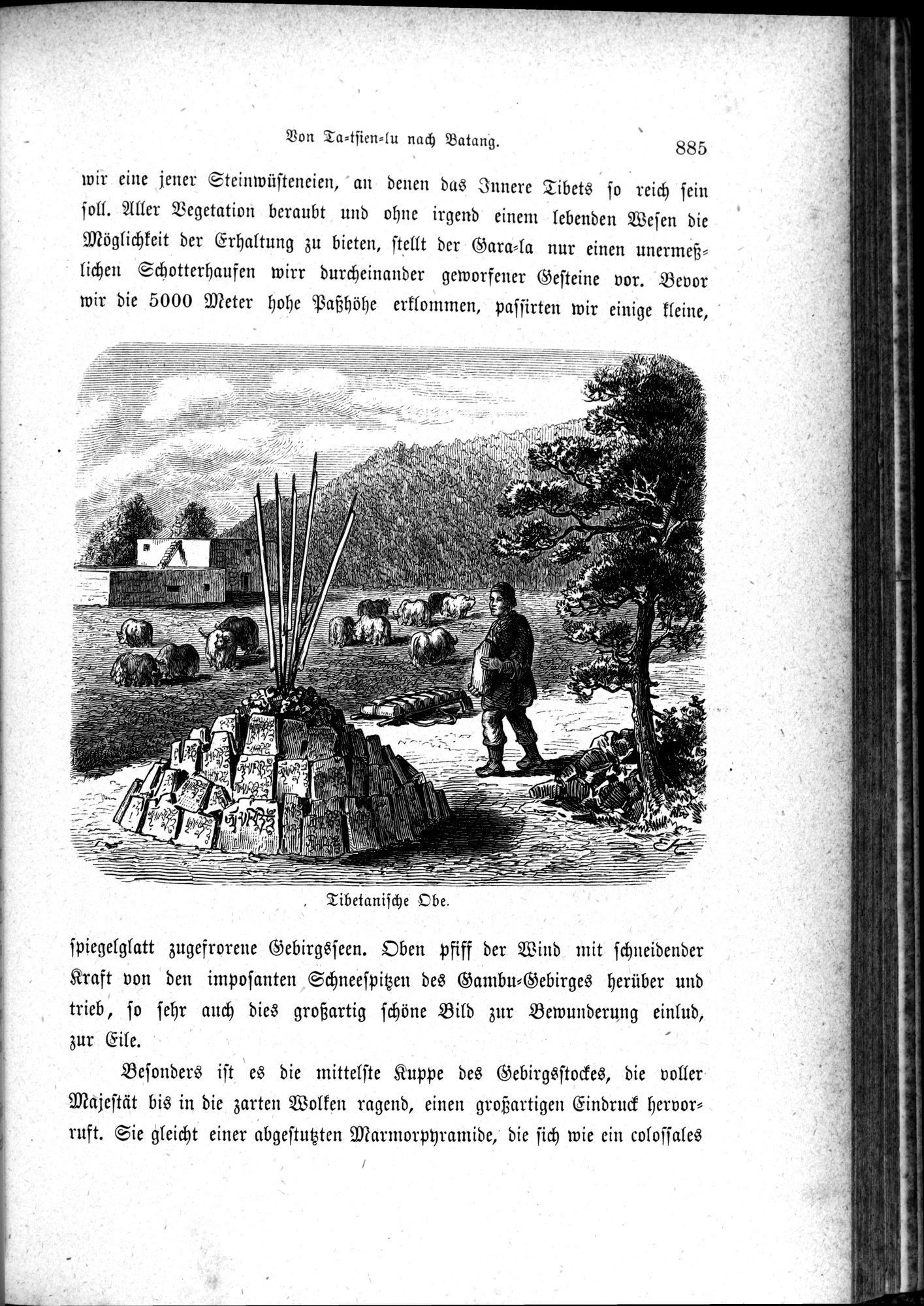 Im fernen Osten : vol.1 / Page 909 (Grayscale High Resolution Image)