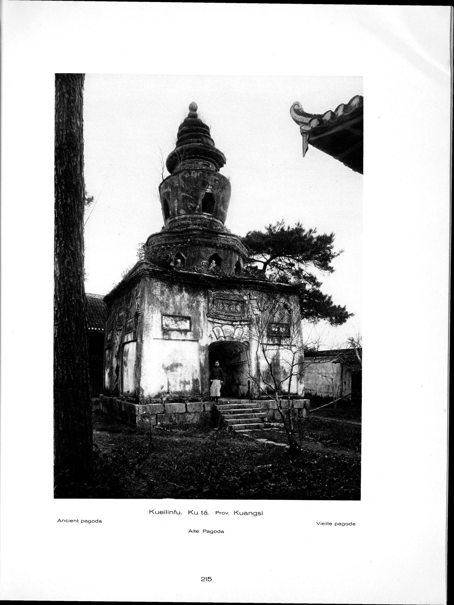 Baukunst und Landschaft in China : vol.1 / 245 ページ（白黒高解像度画像）