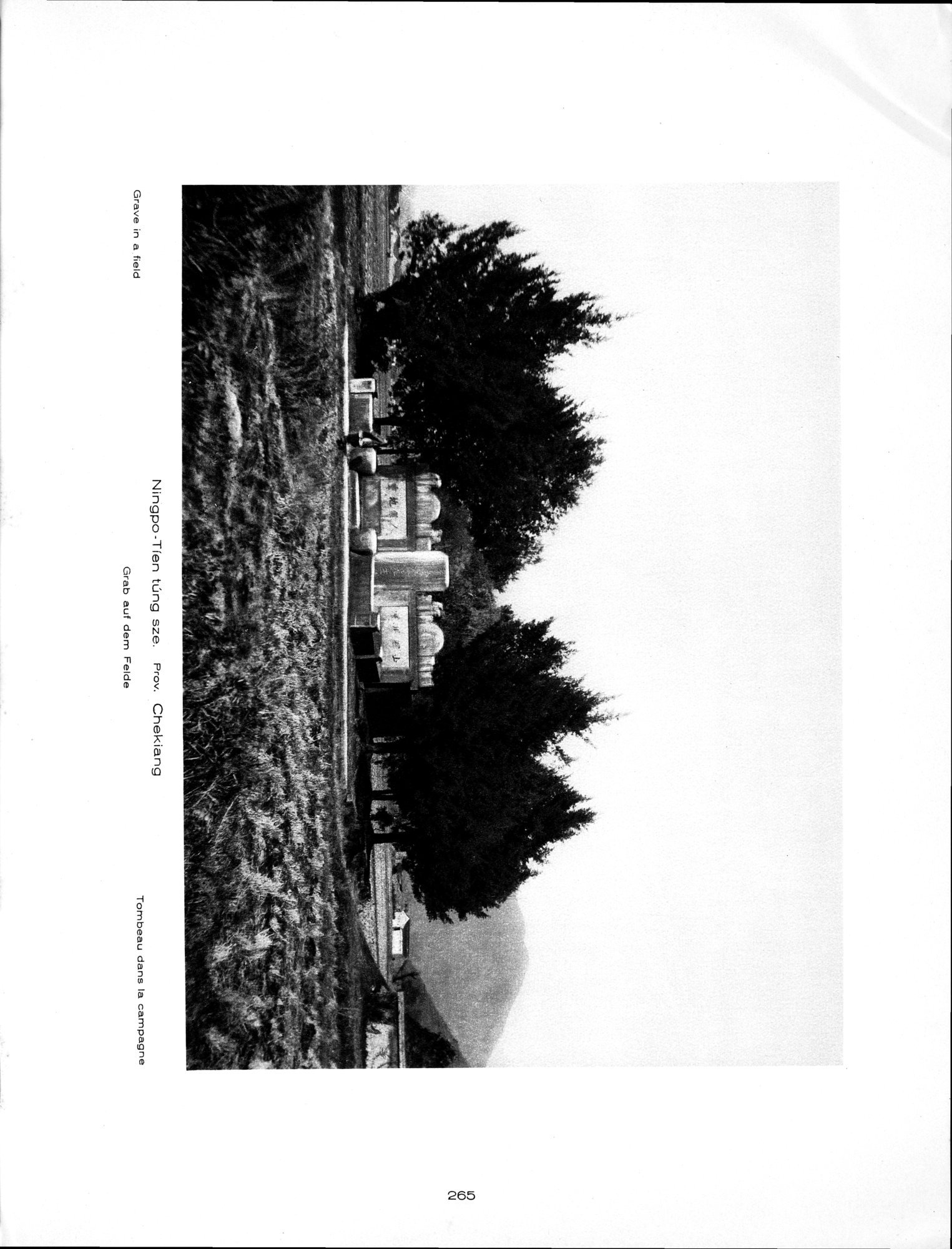 Baukunst und Landschaft in China : vol.1 / 295 ページ（白黒高解像度画像）