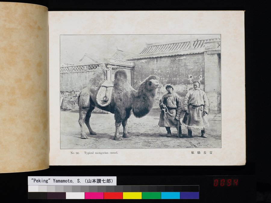 Peking : vol.1 / 187 ページ（カラー画像）