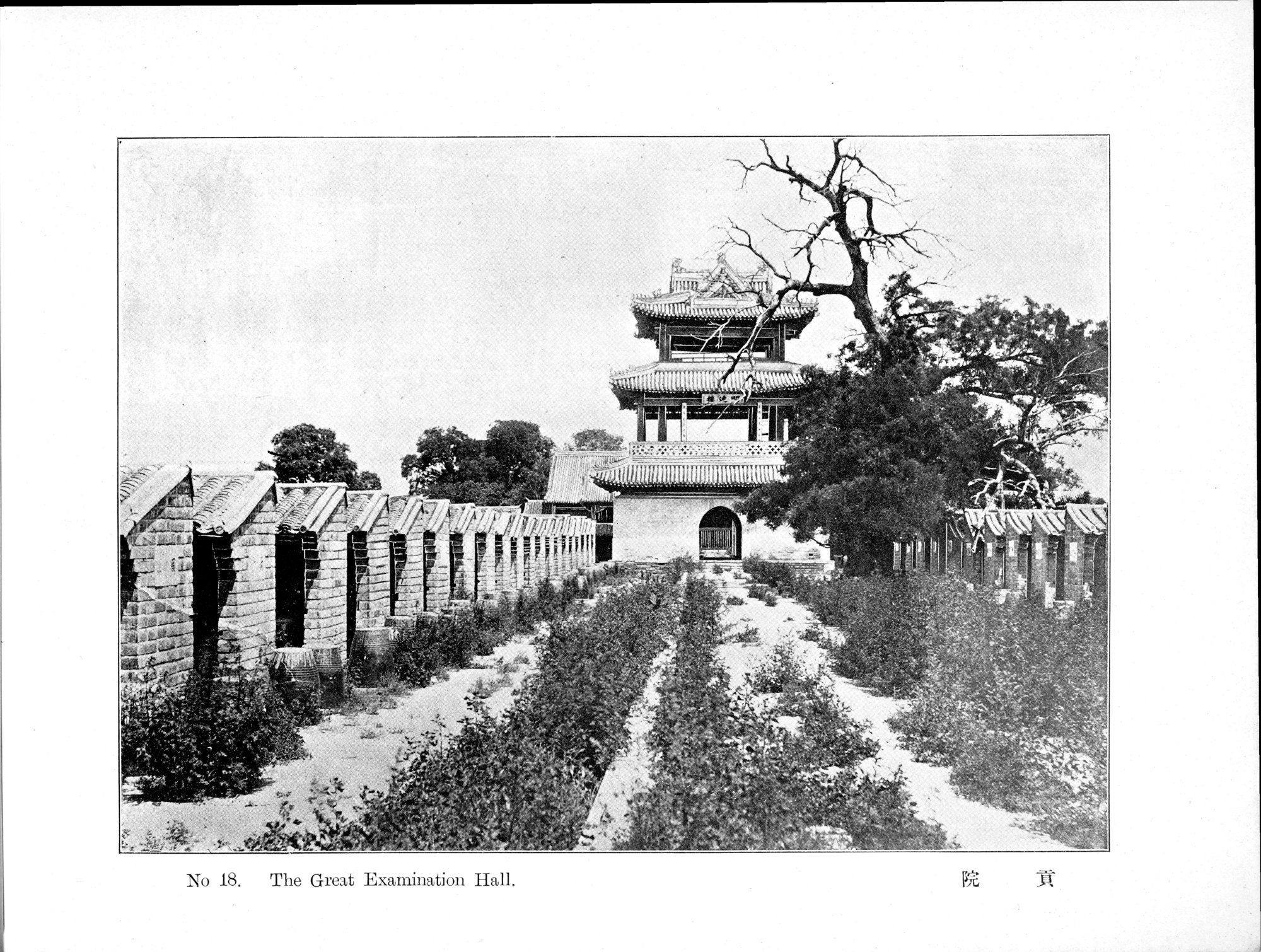Peking : vol.1 / 43 ページ（白黒高解像度画像）