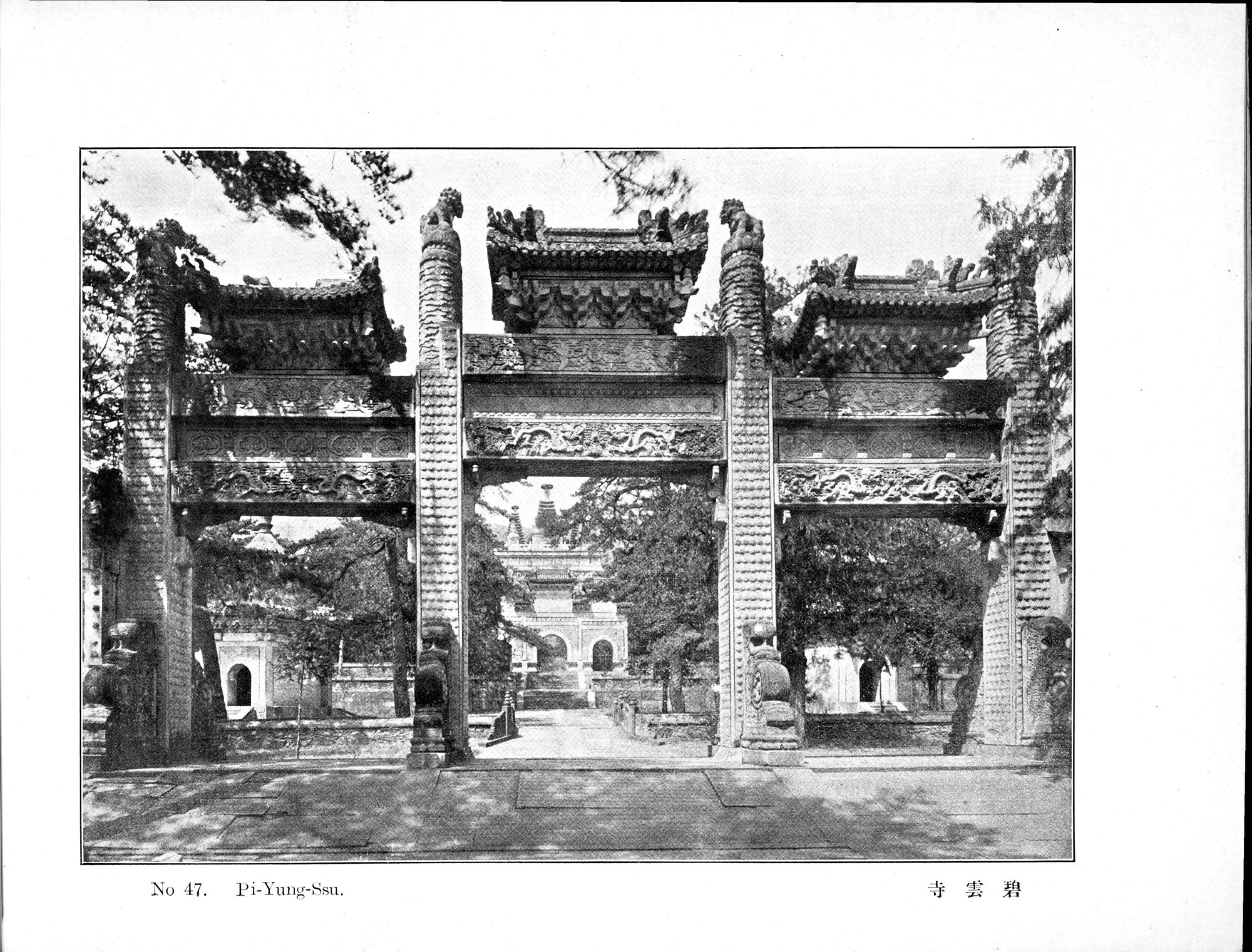 Peking : vol.1 / 101 ページ（白黒高解像度画像）
