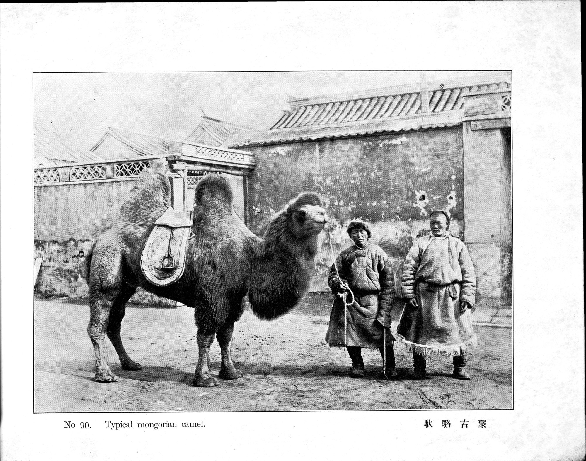 Peking : vol.1 / 187 ページ（白黒高解像度画像）