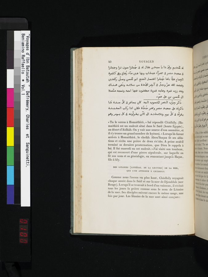 Voyages d'Ibn Batoutah : vol.1 / Page 100 (Color Image)