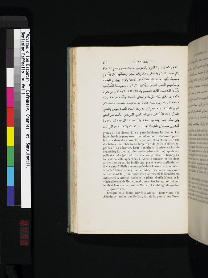 Voyages d'Ibn Batoutah : vol.1 / Page 170 (Color Image)