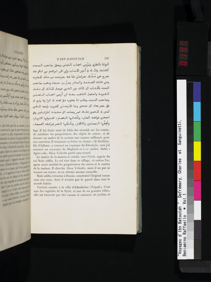 Voyages d'Ibn Batoutah : vol.1 / 197 ページ（カラー画像）