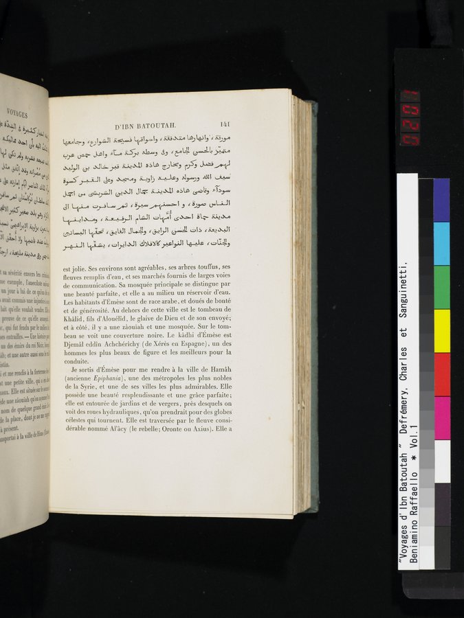 Voyages d'Ibn Batoutah : vol.1 / 201 ページ（カラー画像）
