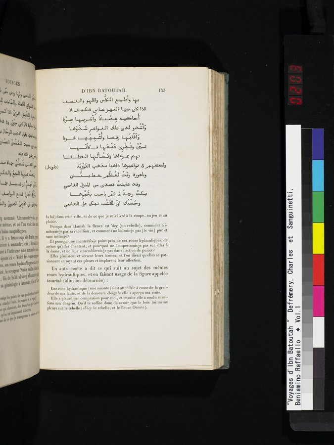 Voyages d'Ibn Batoutah : vol.1 / 203 ページ（カラー画像）