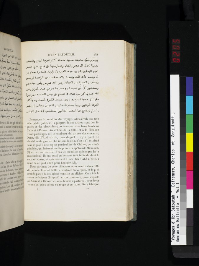 Voyages d'Ibn Batoutah : vol.1 / 205 ページ（カラー画像）