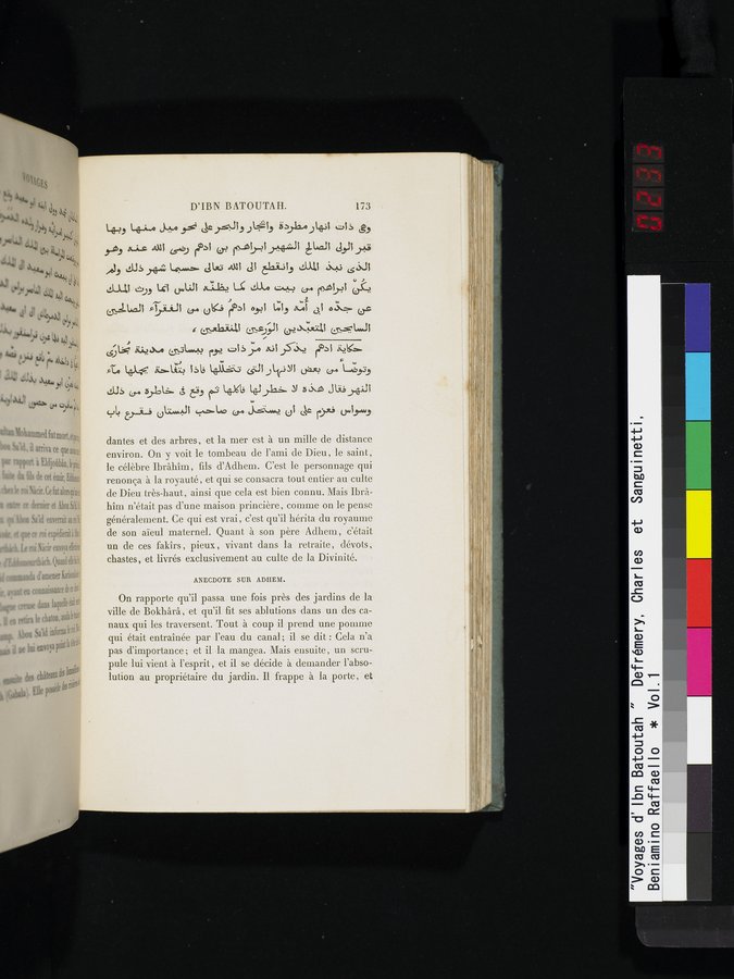 Voyages d'Ibn Batoutah : vol.1 / 233 ページ（カラー画像）