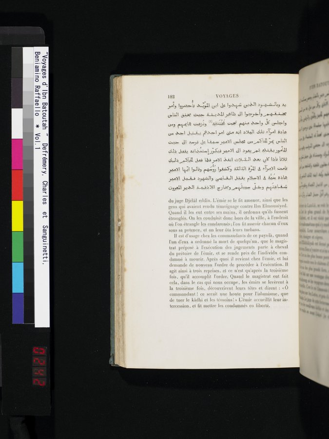 Voyages d'Ibn Batoutah : vol.1 / 242 ページ（カラー画像）