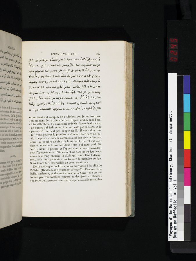 Voyages d'Ibn Batoutah : vol.1 / 245 ページ（カラー画像）
