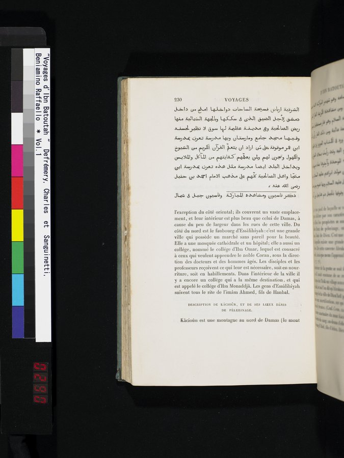 Voyages d'Ibn Batoutah : vol.1 / Page 290 (Color Image)