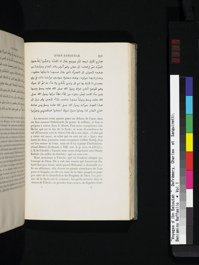 Voyages d'Ibn Batoutah : vol.1 / 317 ページ（カラー画像）